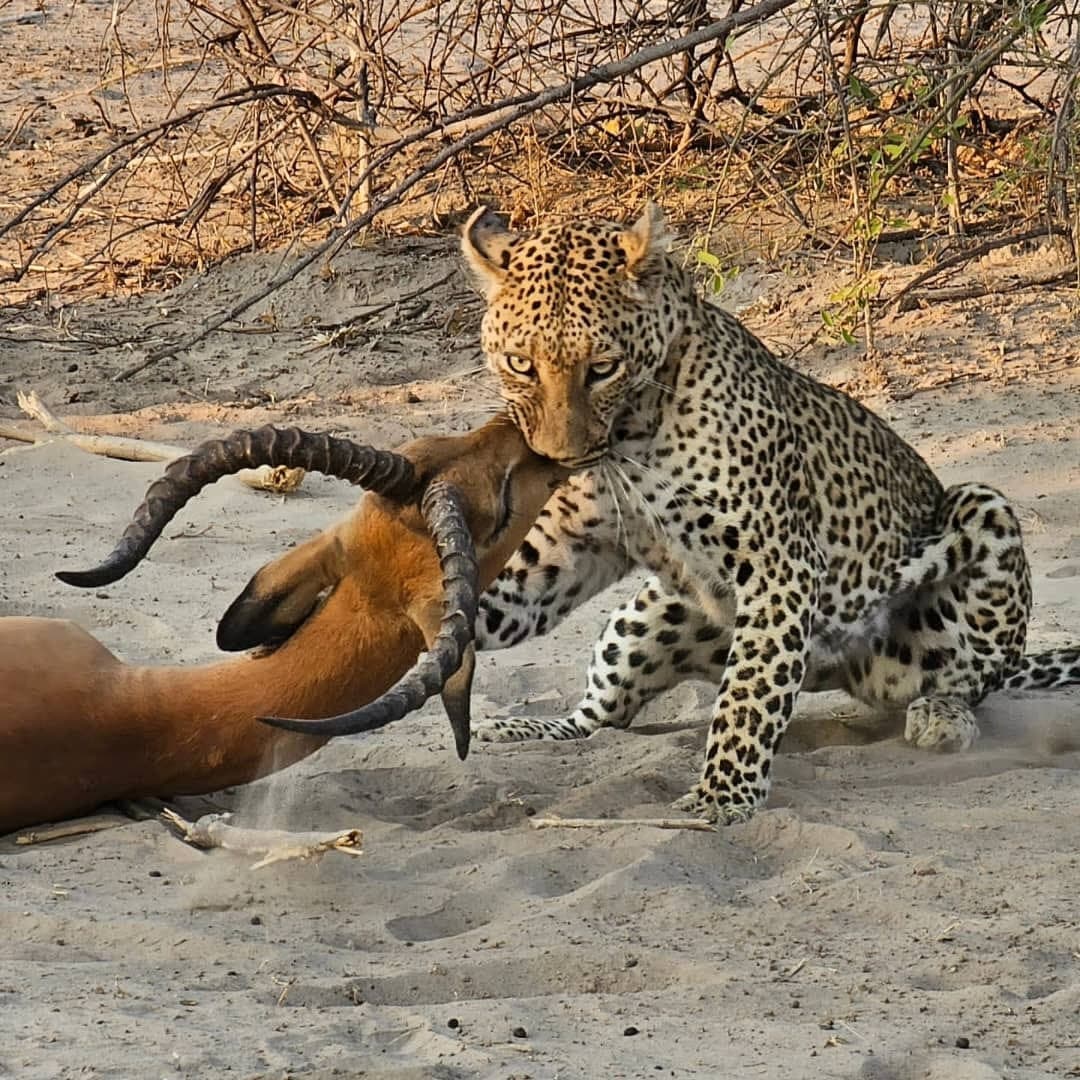 15-Day Zambia & Malawi Grand Safari Adventure