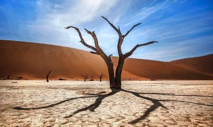 The best of Zambia, Zimbabwe, Botswana and Namibia flying in safari