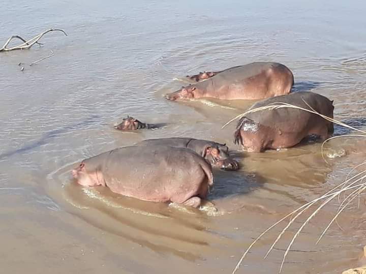 3 Days Chobe