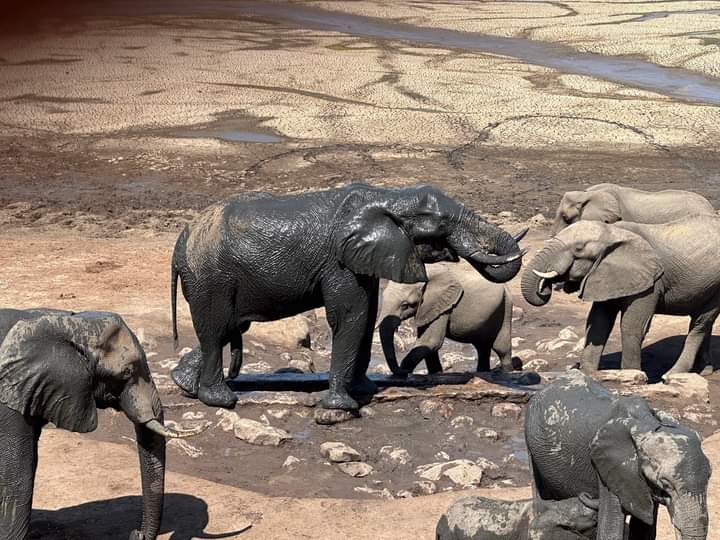 3 Days Hwange National Park