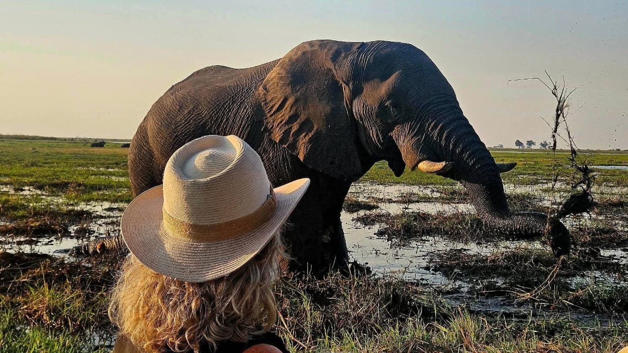 4 Days Victoria Falls and Chobe