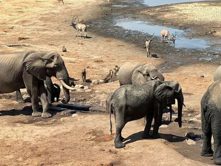 5 Days Victoria Falls and Hwange -NW