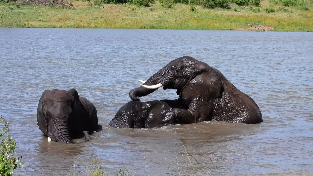 5 Days Victoria Falls, Livingstone and Chobe