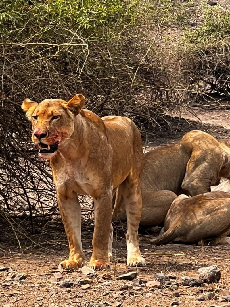 7 Days Victoria Falls to Okavango Delta