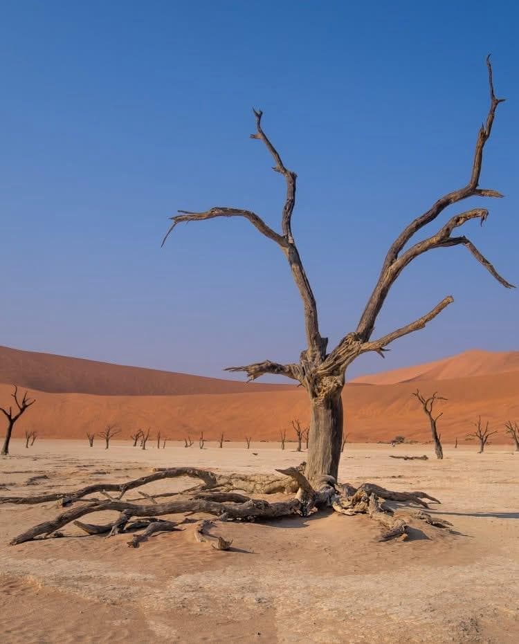 Namibia