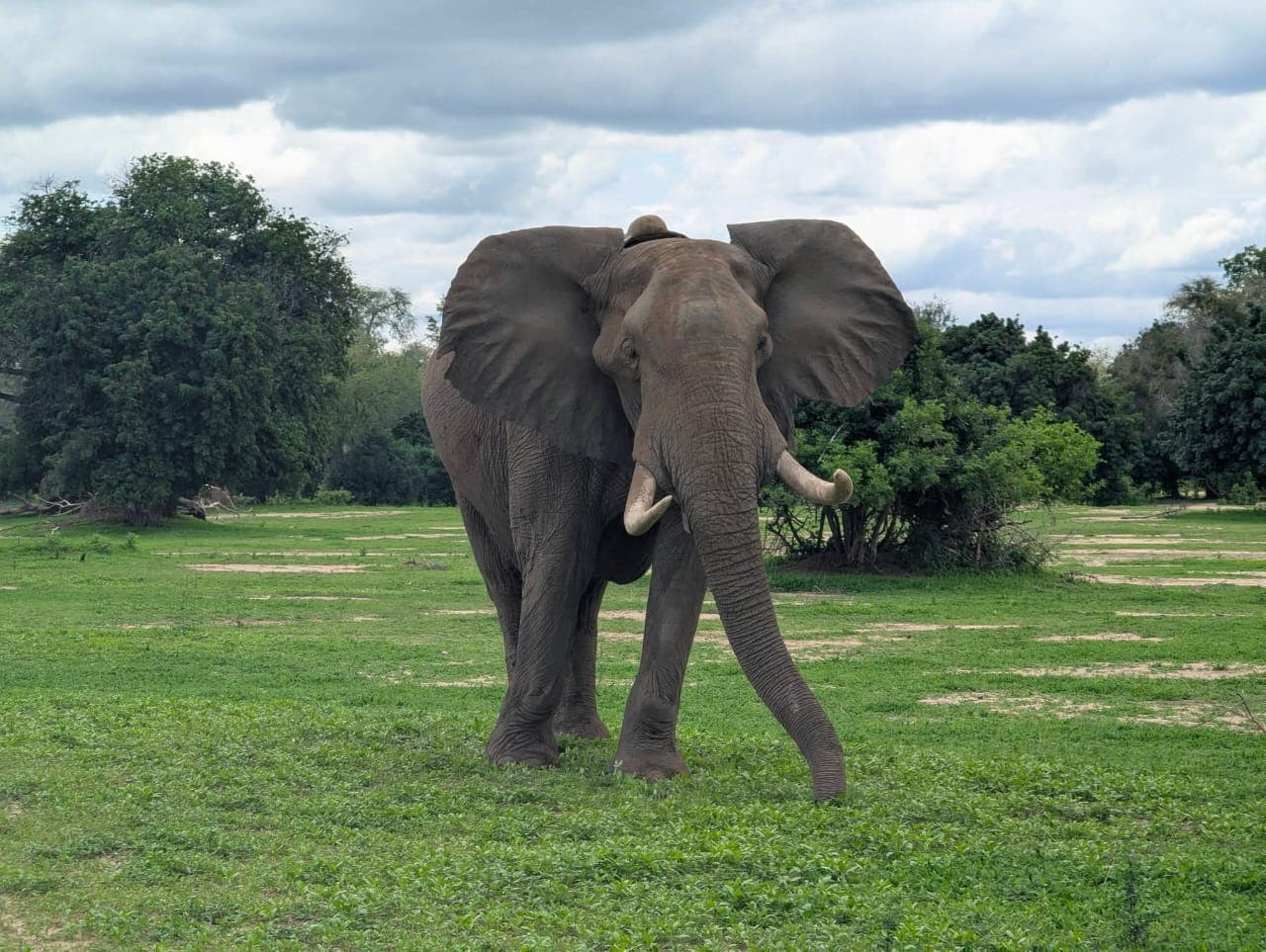 3 Days Victoria Falls Holiday — Luxury