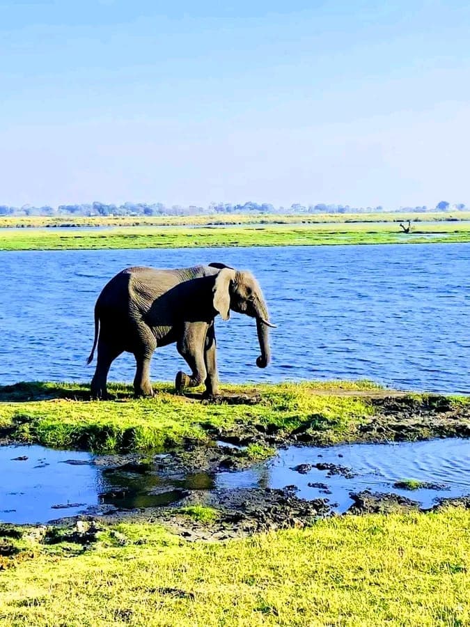 Victoria Falls